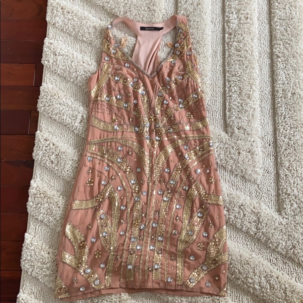 Ark & Co Jeweled Blush Gatsby Roaring 20s Dress